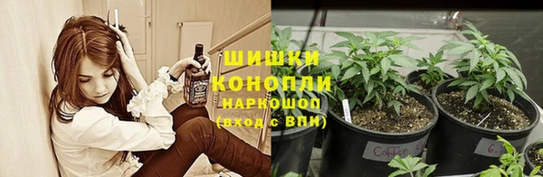 2c-b Алзамай