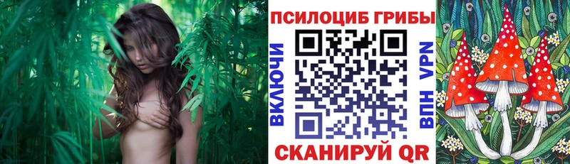 Псилоцибиновые грибы ЛСД  Батайск 